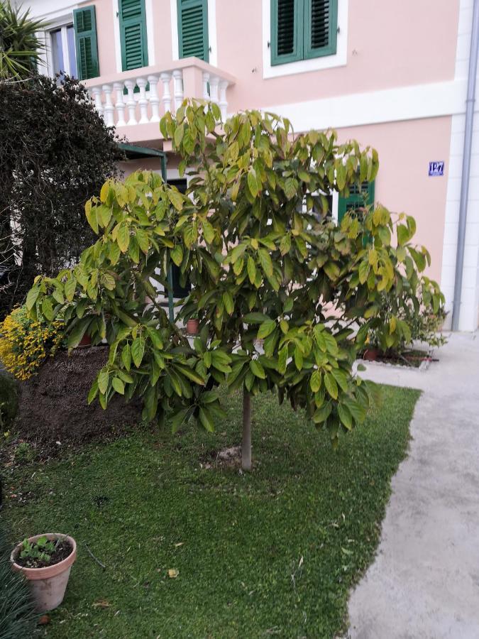 Apartment Dunja Herceg Novi Bagian luar foto