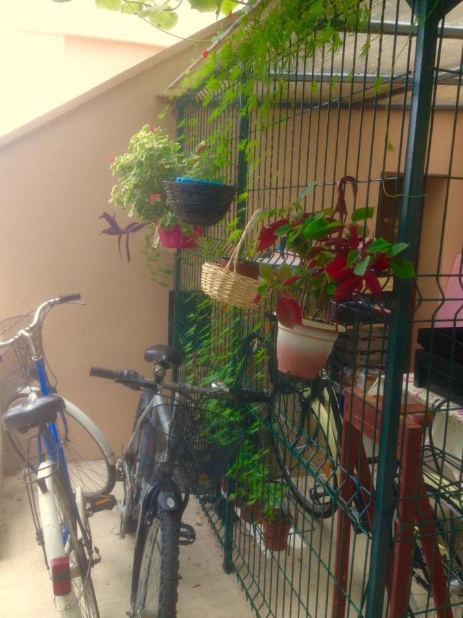 Apartment Dunja Herceg Novi Bagian luar foto